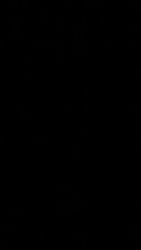 Camicie Button Down Ralph Lauren