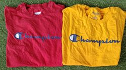 Camisetas Champion 14Pcs (3194)
