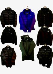 NORTH FACE : The Ultimate 8-Piece Puffer Collectio..