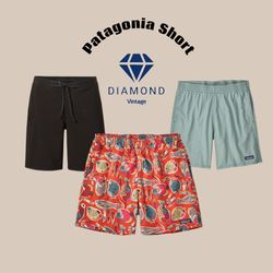 Patagonia shorts (DV -11-336)