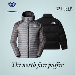 The north face puffer (DV -11-383)