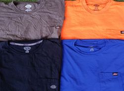 Dickies T-Shirt (3439)