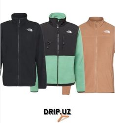 The north face fleece Jackets & Denali