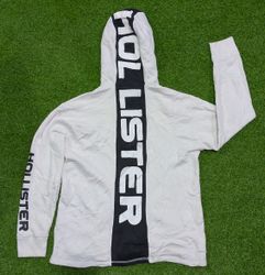 Men's Hollister hoodie 13 PCs
