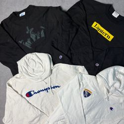 Champion Hoodies (ZRS:47)