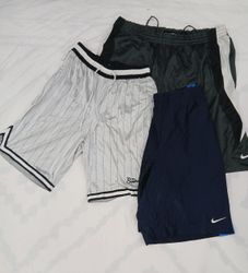 ZV0935 Nike Sports Shorts