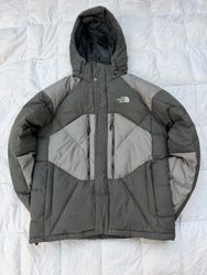 The north face puffers