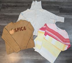 Loft Sweaters