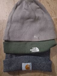 Carhartt puma and north face