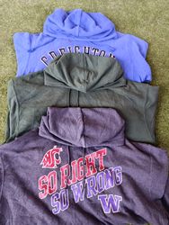 Champion Hoodies 10Pcs (3853)