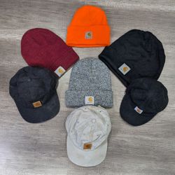 1609 - Carhartt ビーニー & ベースボールキャップ