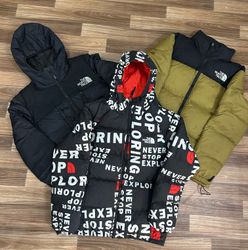 The north face puffer jacket