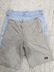 Dickies Shorts Mix