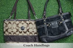 Coach Luxury Handbags(CLHB-0003)