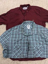 ラコステ フルスリーブ シャツ ミックス