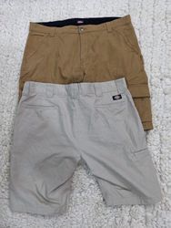 Dickies Shorts Mix