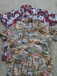 Chemises hawaïennes mélangées