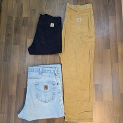 AV-0595 Carhartt Mix Pant