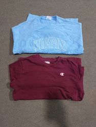 Champion Sweater