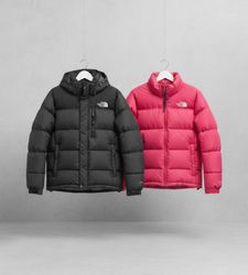The North Face Puffer Jackets 700/800 Series