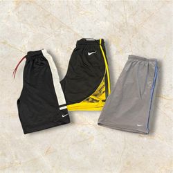 Premium Nike Shorts - (15/01)