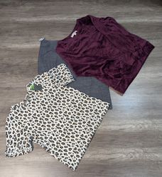 3094 - Loft, Ann Taylor loft Jacke, Bluse, Röcke