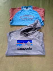 Patagonia Sweatshirt & Hoodie