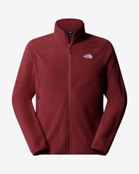 North Face fleece & Denali DNF181