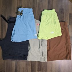 AV-0770 The North Face Shorts