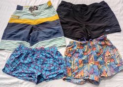 CR6094  Patagonia Shorts