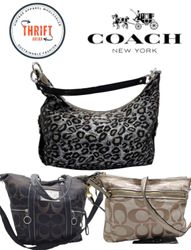 LX302 Premium Coach Bags