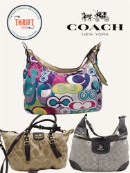 LX302 Premium Coach Bags