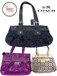 LX313 Premium Coach Bags