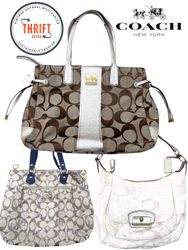 LX316 Premium Coach Bags