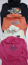 The North Face hoodies 10Pcs (RV # 201)