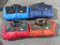 The North Face Puffer Jacket 700-800 series