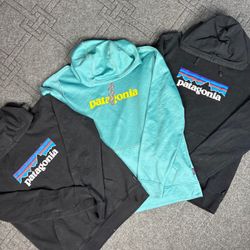 Patagonia Sweatshirt (CV:216)