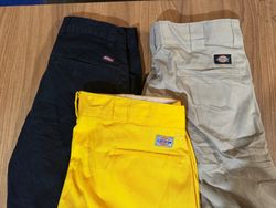 Dickies Shorts