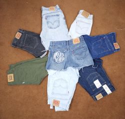 Levi’s Vintage Low Waist & Basic Shorts