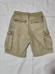 Carhartt and Dickies Shorts