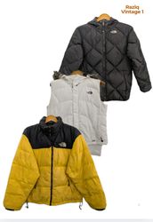 RV2666 The North face puffer Jackets