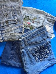 Big star & 0ther brands mini skirts /204