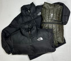The north face jacket WR_01249