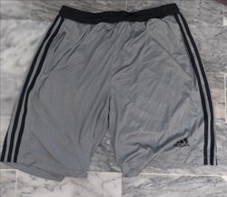 Adidas sport shorts