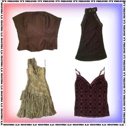 Hollywood Regency Bundle - tops, dresses, skirts (..