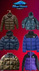 The north face jacket