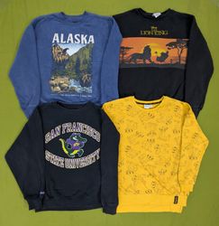 💥 RV3051 Animal Sweatshirts