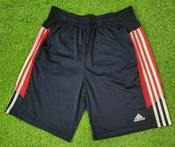 Adidas Nylon Shorts