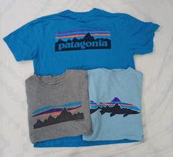 CR7829 Vintage Patagonia Mix Bundle