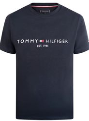 Tommy Hilfiger polo and tees